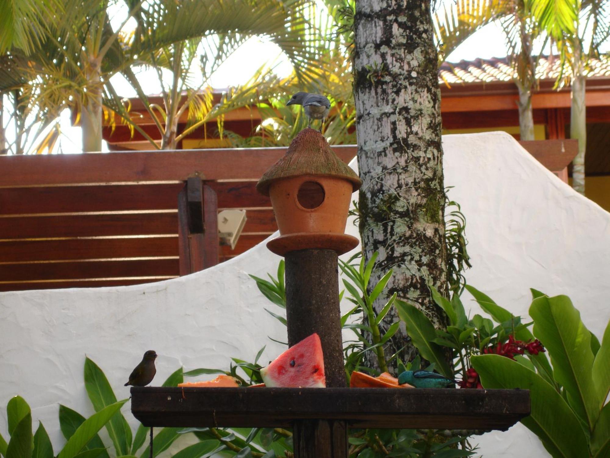 Pousada Torre Del Mar Ubatuba Bagian luar foto