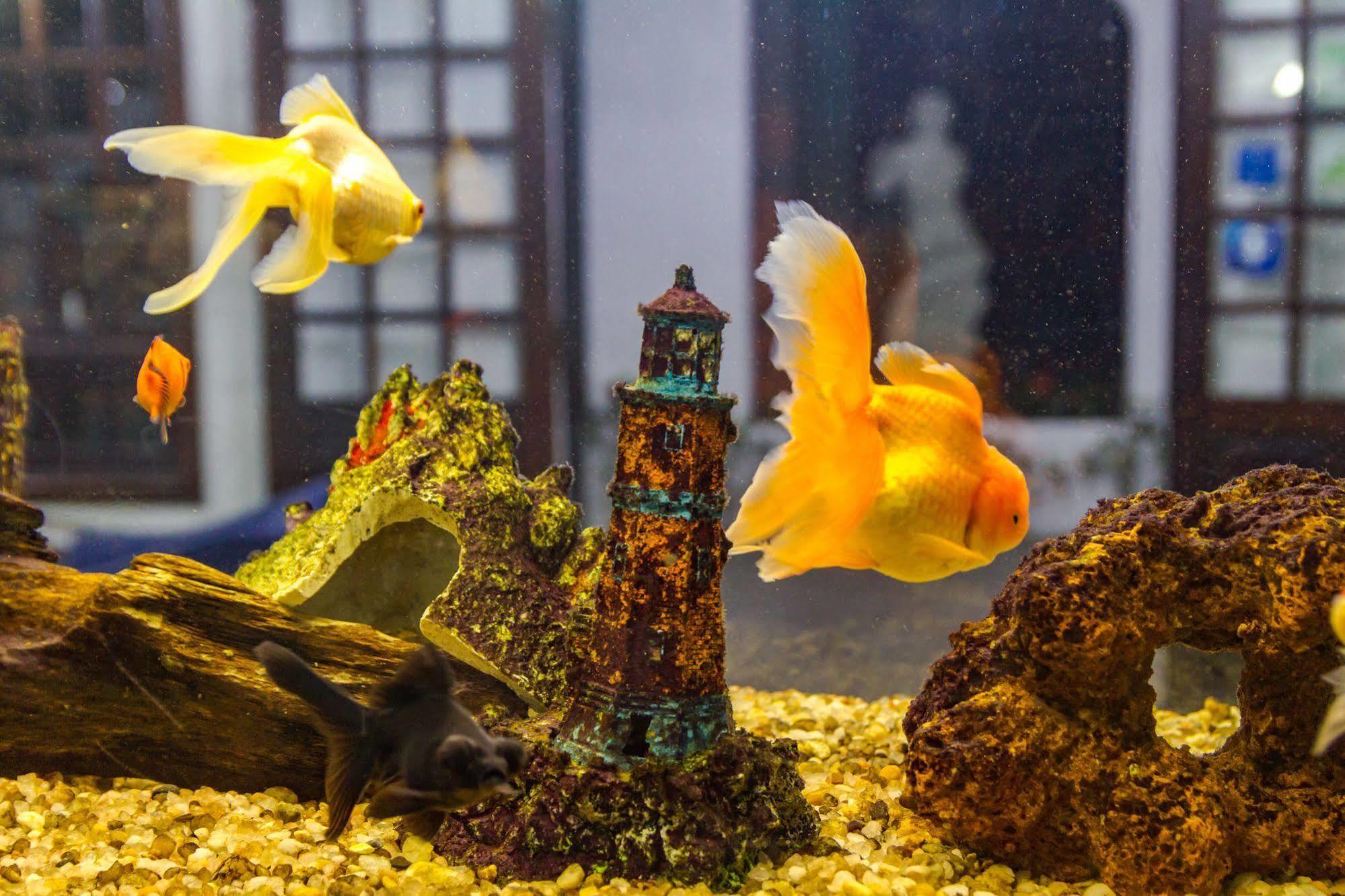 Pousada Torre Del Mar Ubatuba Bagian luar foto